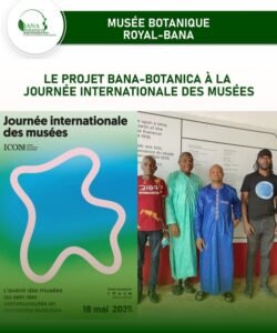 Lire la suite à propos de l’article CELEBRATION DE LA JOURNEE INTERNATIONALE DES MUSEES CE 26 MAI 2025