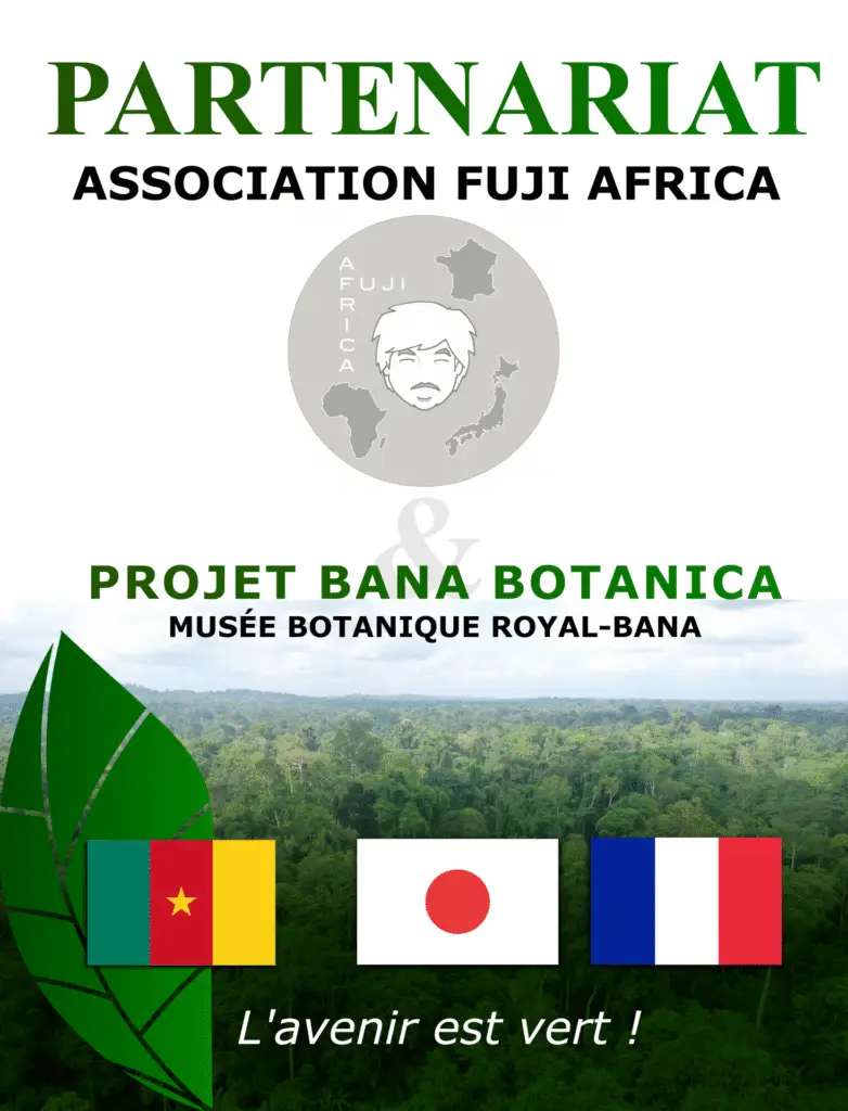 Fuji Africa & Bana Botanica